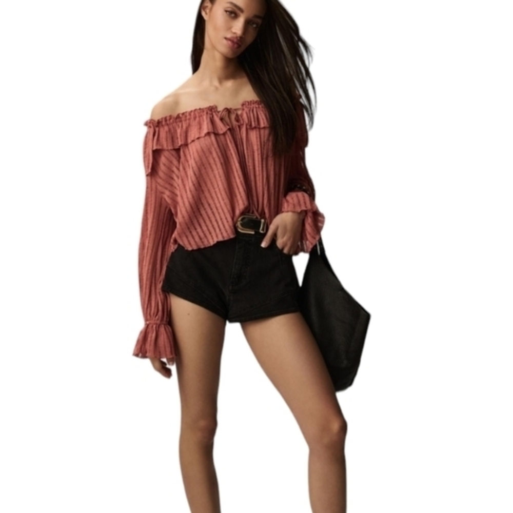 NWT By Anthropologie Long-Sleeve Sheer Striped Crop Blouse Rose off shoulder XXL